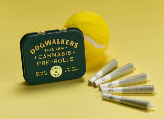 EAST COAST SOUR DIESEL (PLAY) .35G PRE ROLL 5 PACK (1.75G TOTAL)