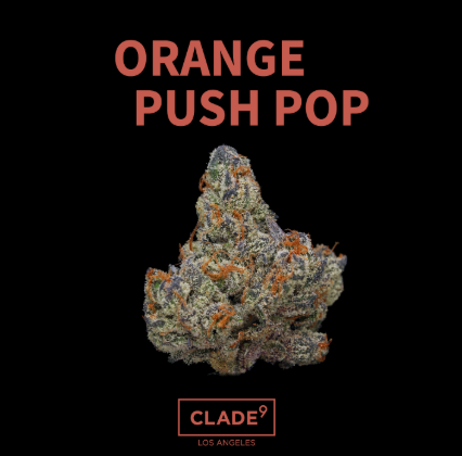 ORANGE PUSH POP 1G