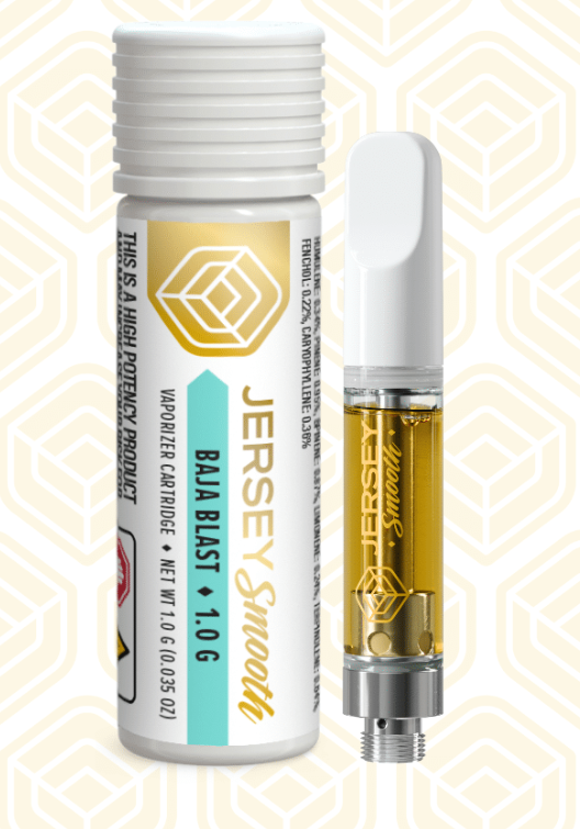 BAJA BLAST 1G CARTRIDGE