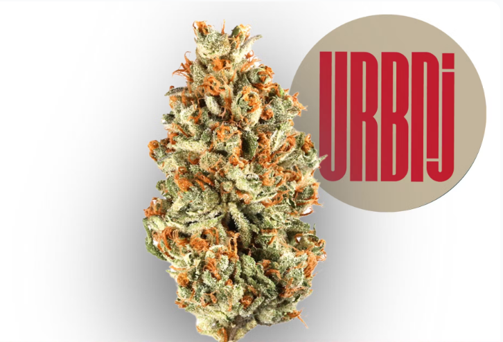 RED BULLZ 28G