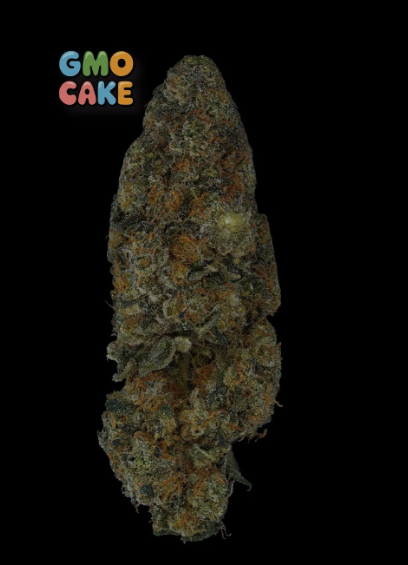 GMO CAKE 3.5G