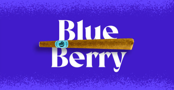 BLUEBERRY 1G INFUSED BLUNT