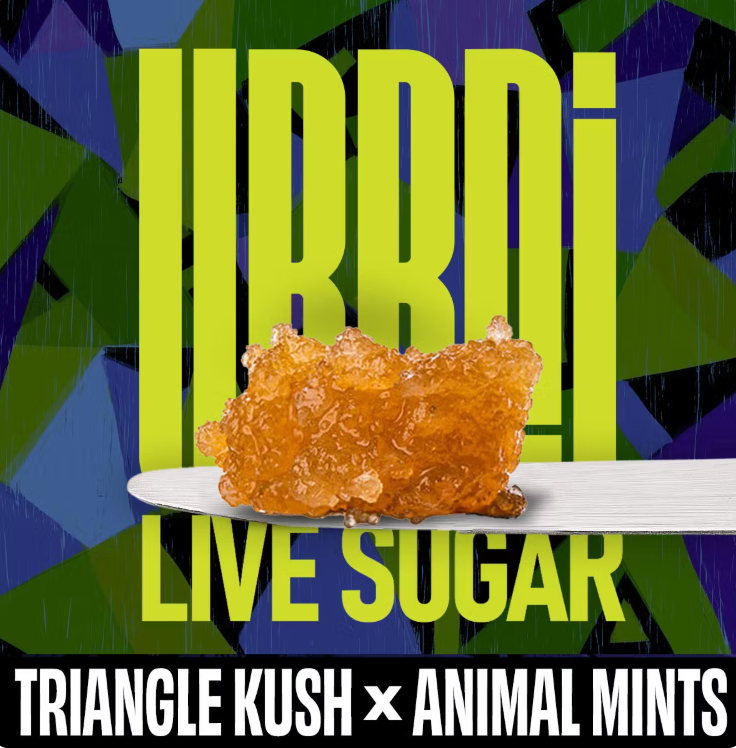 TRIANGLE KUSH X ANIMAL MINTS LIVE SUGAR 1G
