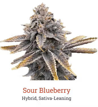 SOUR BLUEBERRY 3.5G