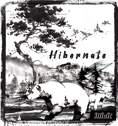 HIBERNATE .5G PRE ROLL 2 PACK (1G TOTAL)