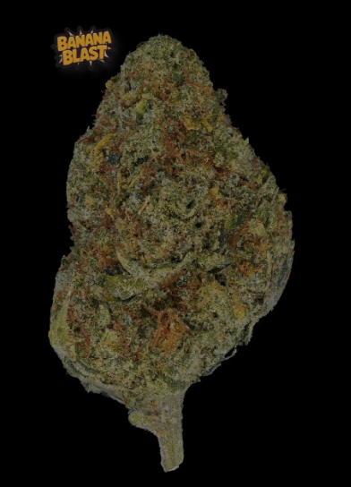 BANANA BLAST 1G "DIME BAG"