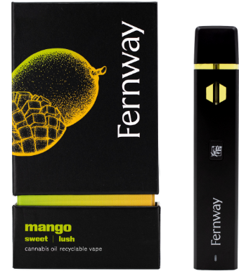 MANGO 0.3G DISPOSABLE