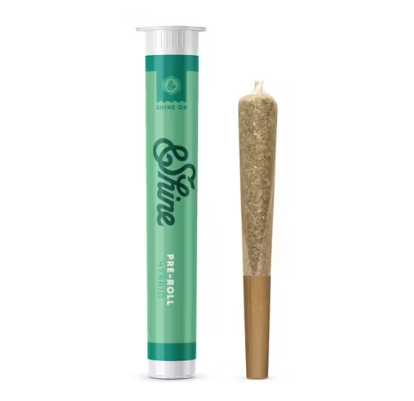 BUMPER OG 1G PRE ROLL