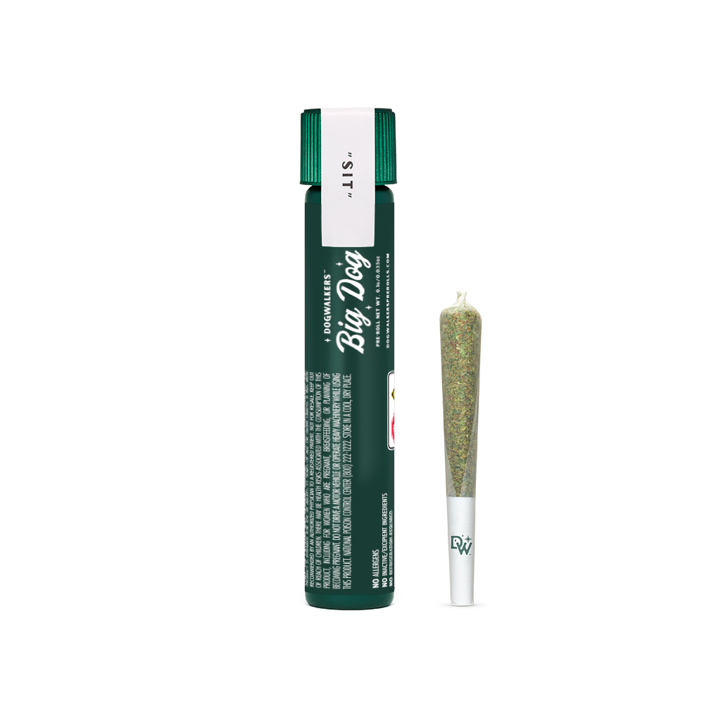 NAPFLIX (SIT)  BIG DOG 1G PRE ROLL