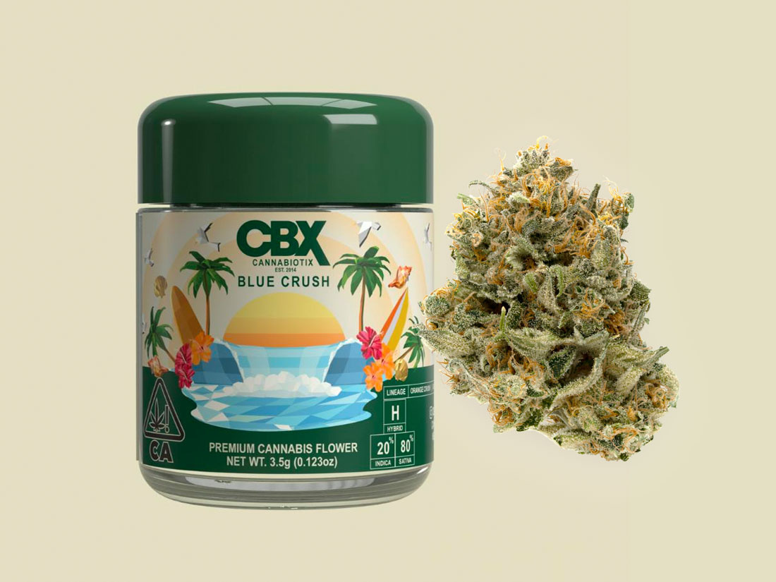 BLUE CRUSH - 3.5G
