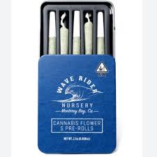 PURPLE HAZE 5PK