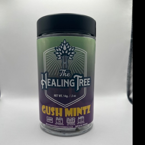 GUSH MINTZ