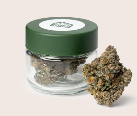 $50 | CHAMPAGNE | 3.5G | HABITAT