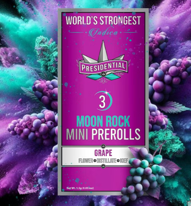 $32 | GRAPE | 3PK PR | PRESIDENTIAL