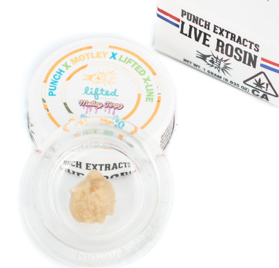Punch | Moroccan Berry Runtz | 1G Live Rosin T4