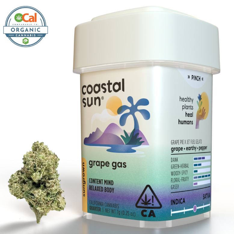 Coastal Sun | Grape Gas | 7G