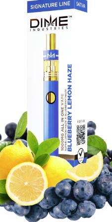 Dime | Blueberry Lemon Haze Disposable Vape 1G