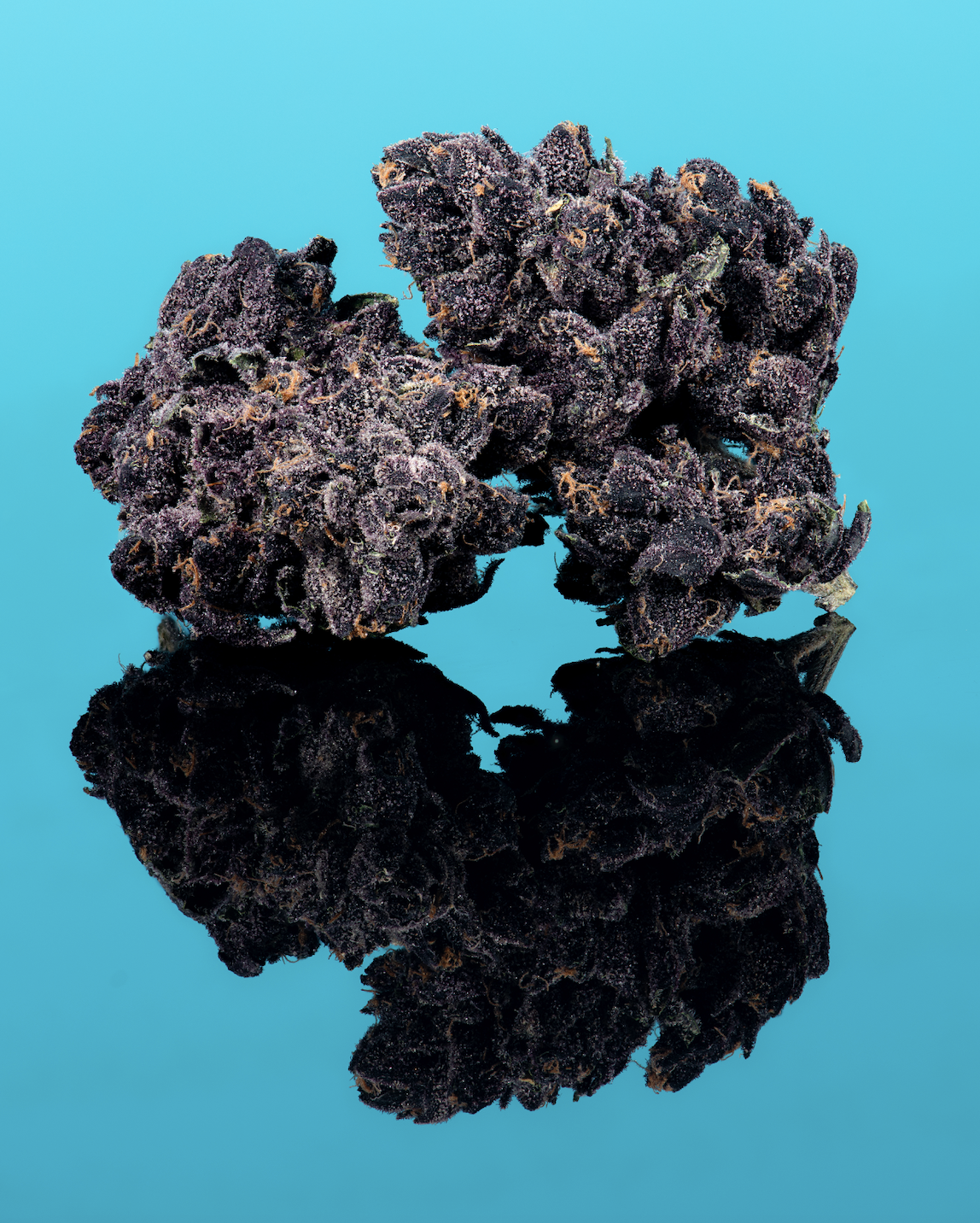 Cookies | Purple Sand | 3.5G