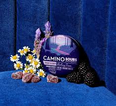 Camino Sours | Blackberry Tin 10:3 CBN 20PK
