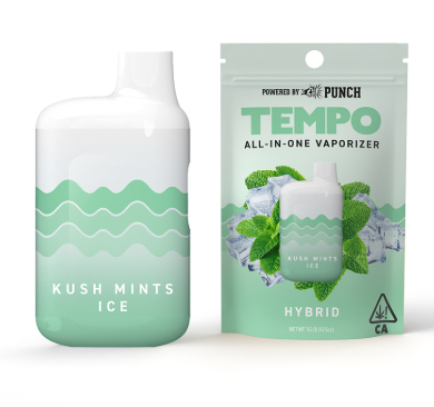 Tempo |  Kush Mints Ice | 1G Aio