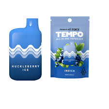Tempo | Huckleberry Ice Disposable 1G