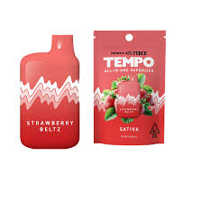 Tempo | Strawberry Beltz Disposable 1G