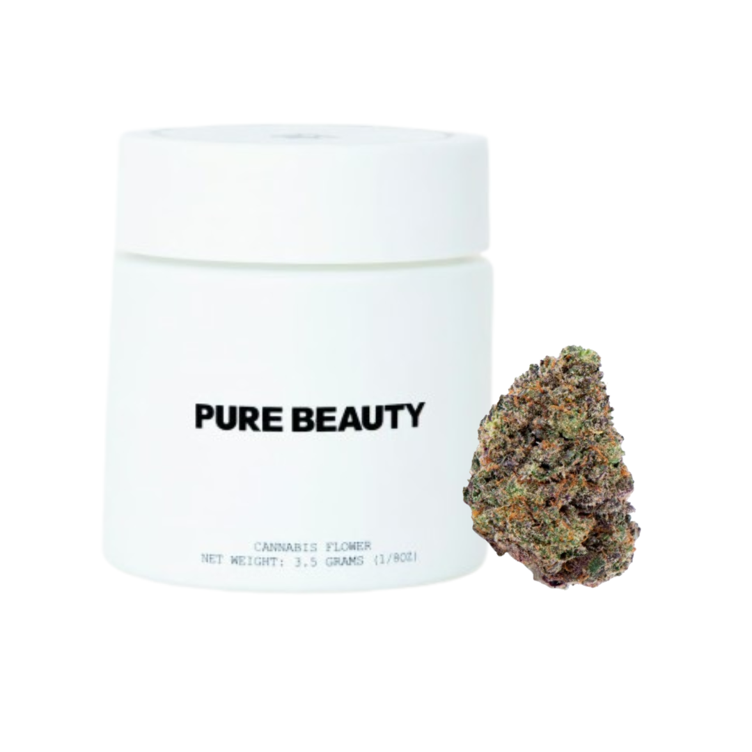 Terry T X Gelato 33