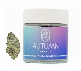 Purple Carbonite 3.5G