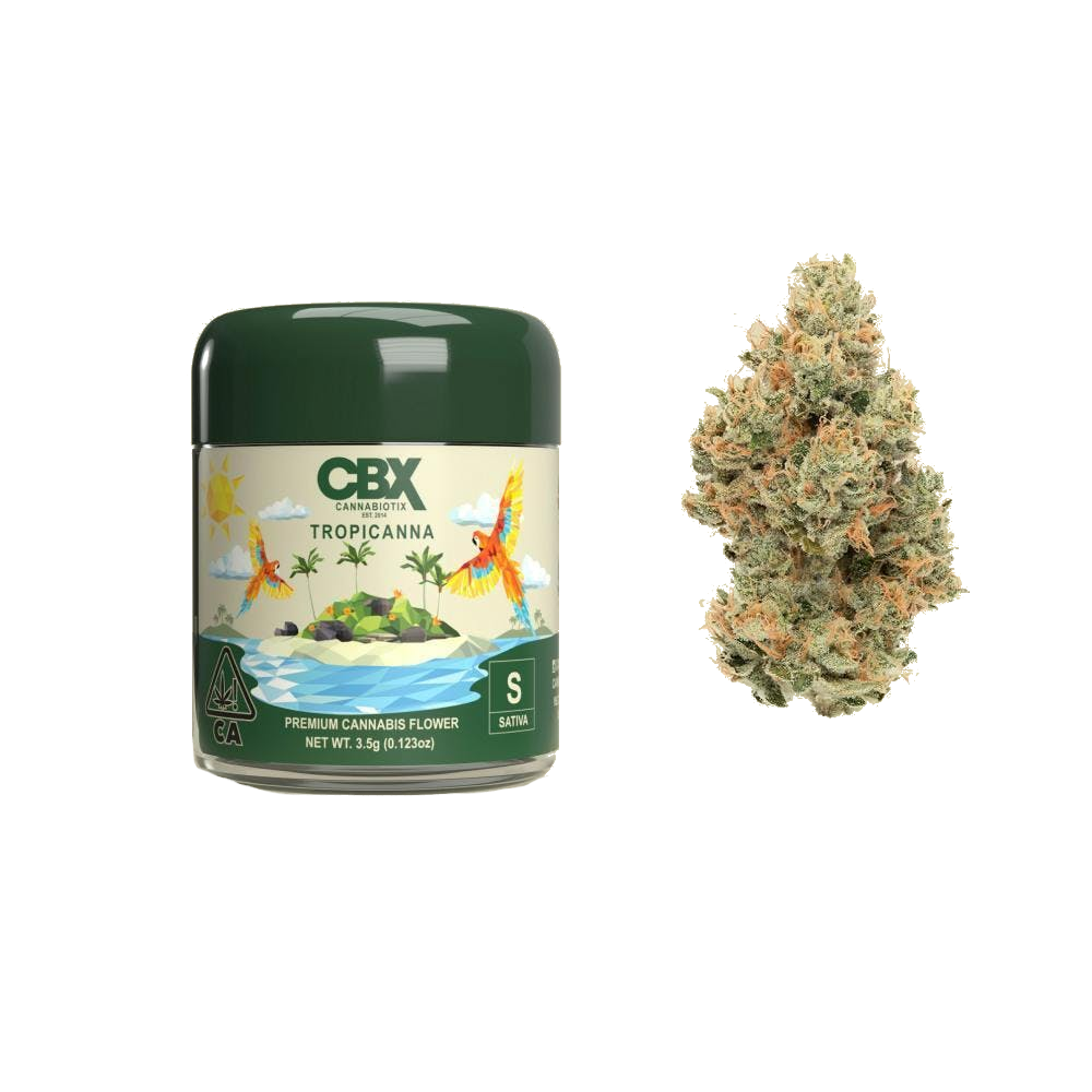 Tropicanna 3.5G Flower