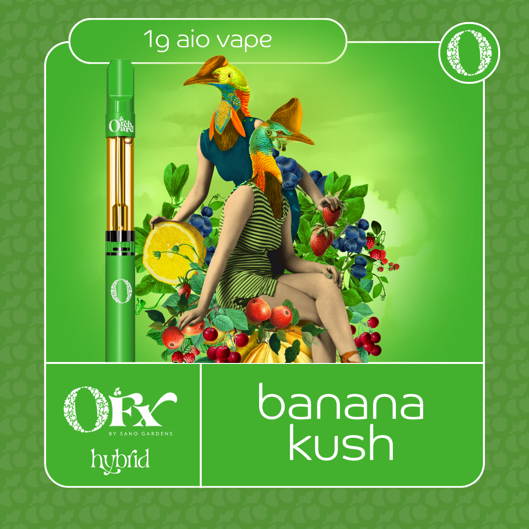 Orchard Fx | Banana Kush | 1G Flavored Distillate Disposable