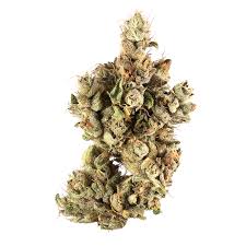 Canna Club | Garlic Breath