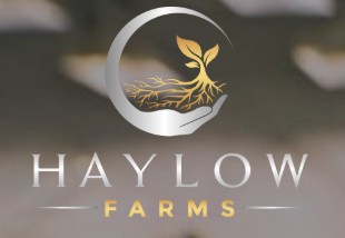 Haylow Farms | Garlic Ice Mints