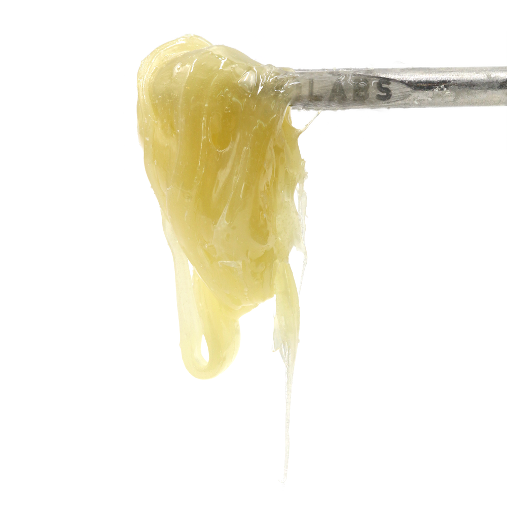710 Labs | Gmo | 2G Live Persy Badder Bucket