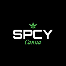 Spcy Canna | Black Maple