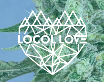 Locol Love | Black Cherry Soda Smalls
