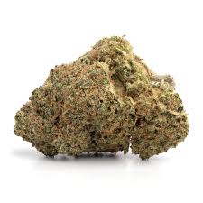 Roots | Gorilla Breath