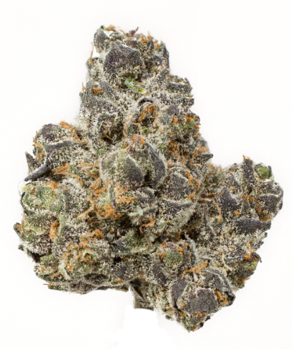 Apple Fritter - 3.5G - Sale