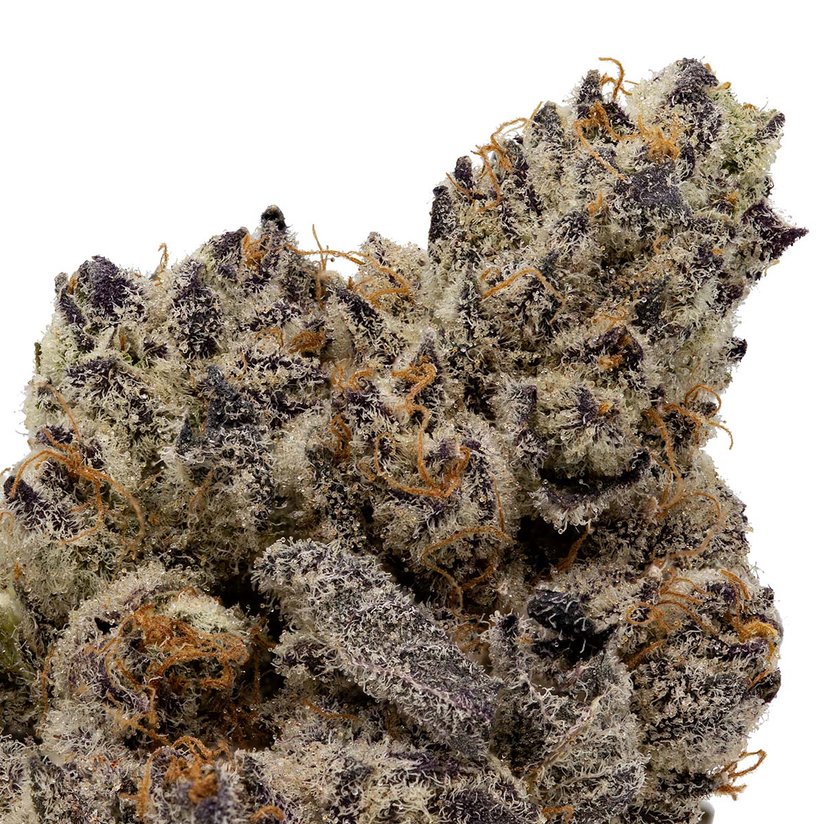 Cake Crasher-house-7g