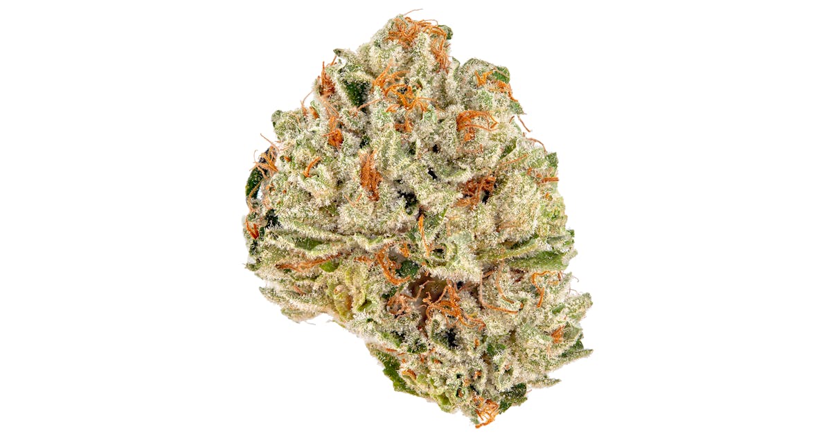 Miss Big Bunz - House - 3.5G