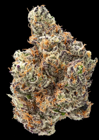 Governmint Oasis - Sale - 3.5G