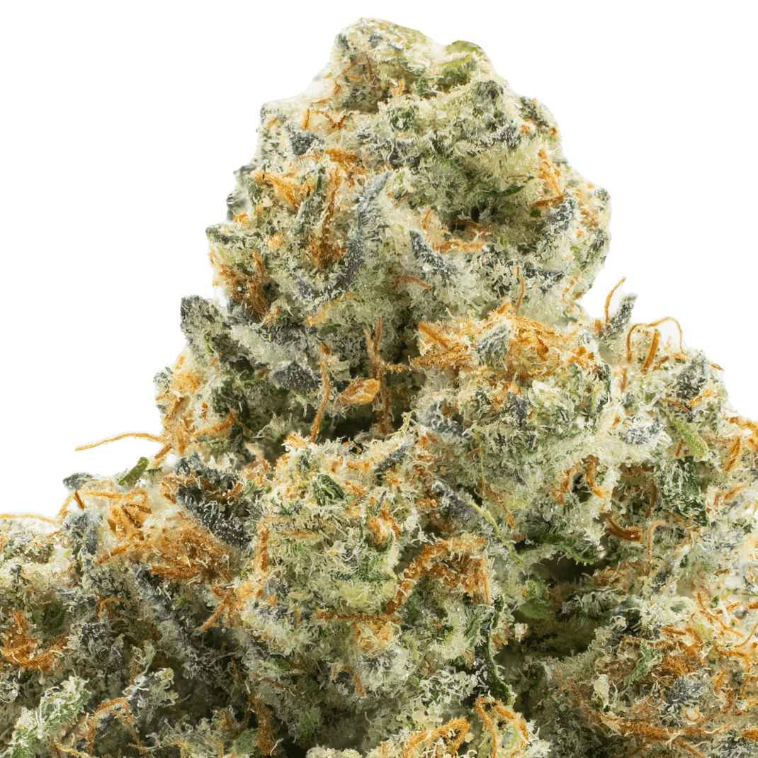 Rum Cake-house-7g