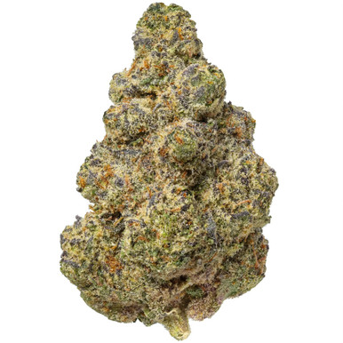Apricot Scone - House - 14G