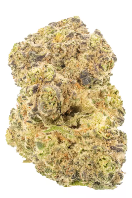 Cherry Punch - House - 14G