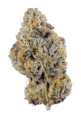 Wedding Cake - House - 7G