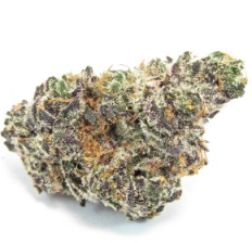 Apple Fritter - Sale - 14G
