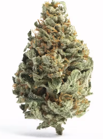 Blue Alien-house-7g