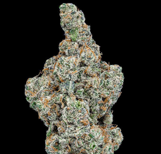 Lemon Oreoz - House - 3.5G