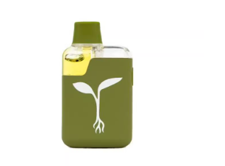 RAW GARDEN 1G AIO VAPE - LAVA CAKE #5