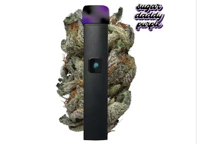 Plug N' Play 1g JustPlay DNA Disposable - Sugar Daddy Purple