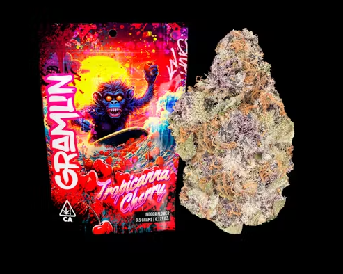 Gramlin 3.5g Flower - Tropicanna Cherry
